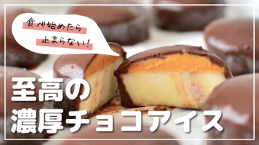 至高の濃厚チョコアイス